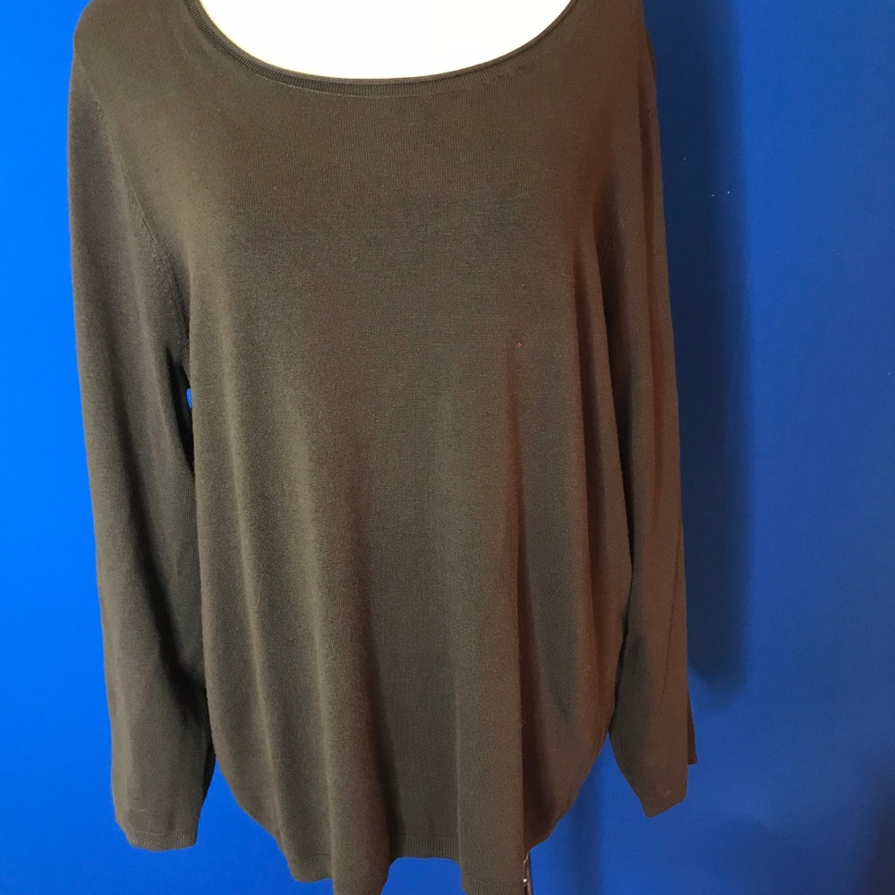Brown scoop neck long sleeve top  Chico 2